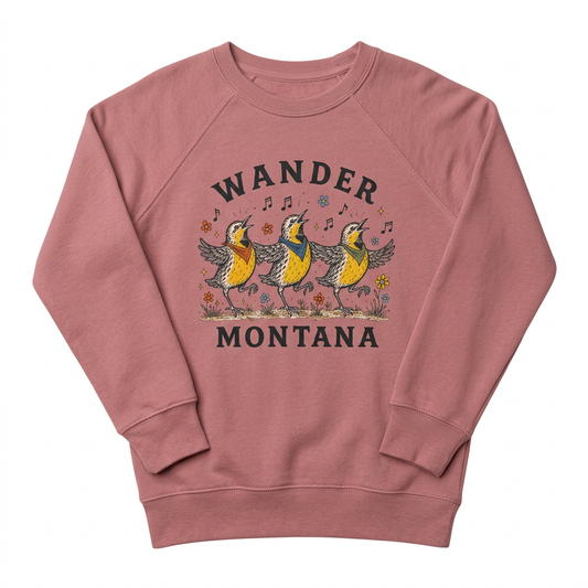 Children’s Grateful Larks Sweatshirt on a white background without hanger or neckline tag
